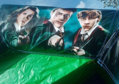 Harry, Hermione and Ron on our bouncy castle